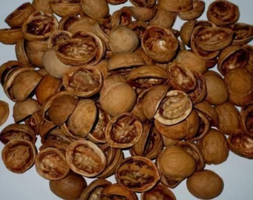 吃完核桃别扔壳，用水煮一煮，堪称是治咽炎和胃溃疡的“特效药”