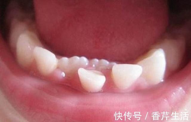 乳牙|捕到巨型石斑鱼,一条就顶人家一箩筐,渔民开心的一天