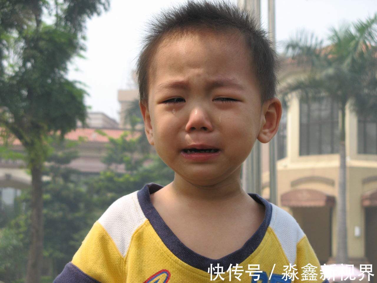 好处|这才是孩子上幼儿园的最佳年龄,太早上幼儿园,对孩子来说没好处