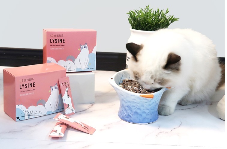 猫咪打喷嚏红色鼻涕 猫咪打喷嚏红色鼻涕