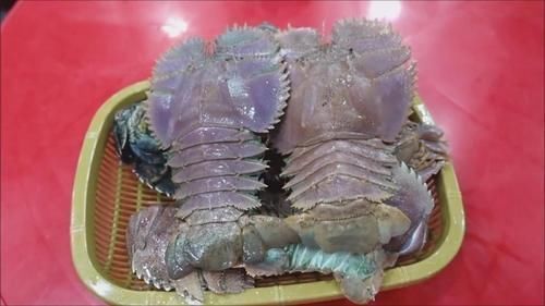 a374|和女友到柬埔寨,吃了2只“拖鞋龙虾”,结账时却“傻眼”了