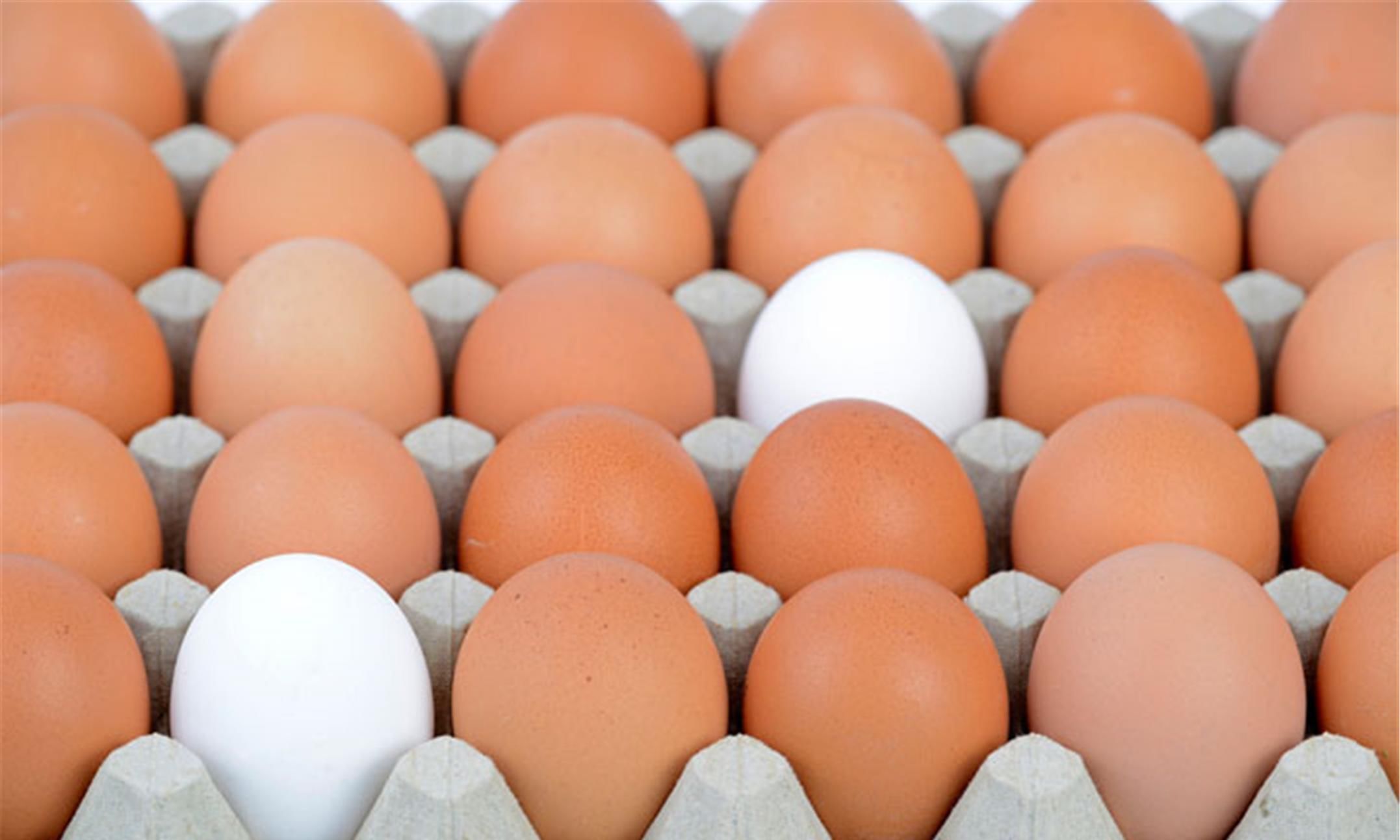 消化系统|早上坚持吃一个鸡蛋,或会给你带来这3个喜人的变化