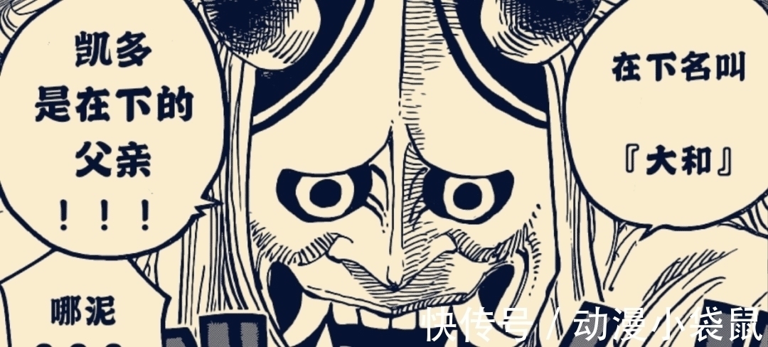 大和|海贼王984话:大和是女的,长得像薇薇和蕾贝卡,自称是光月御田