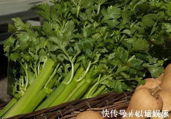 菜市场|逛市场遇到这菜，我从不还价，用它包饺子最香，每次都吃撑