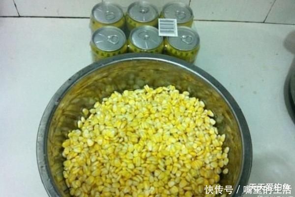 玉米粉|夏季钓草鱼,关键在于用饵,三种味型的自制饵料,通杀各种水域