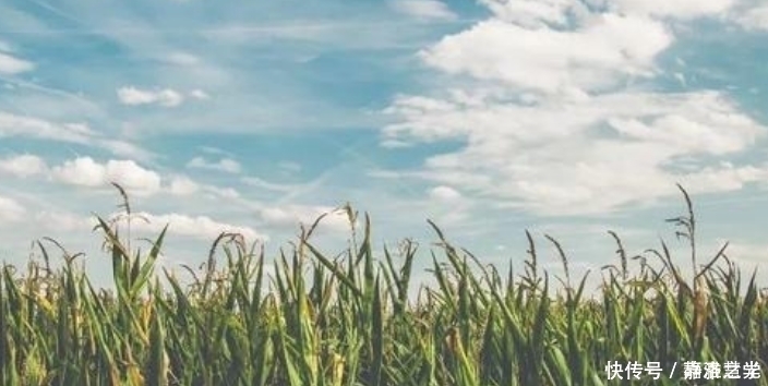 航天技术 把种子放在太空一段时间,返回地球后种出来,会比较大吗?