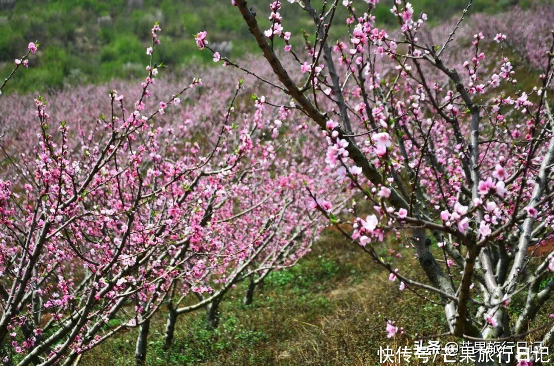 云南大山有个村庄，村民过着悠闲的生活，有些老人一辈子没出过山