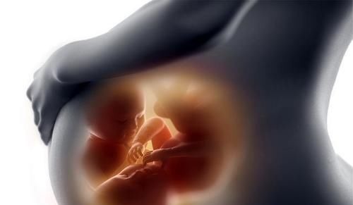 胚胎|怀孕1~10个月,胎儿发育变化全过程!想“修炼成人”还得过四关