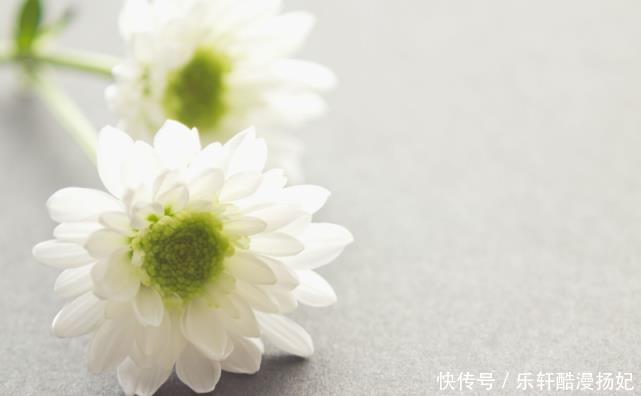 对方|十二星座女倒追谁成功率比较大狮子倒追摩羯,顺利点燃爱情火花