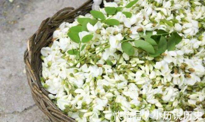 香蕉片|想长寿全靠吃,3种食物不错过,补充营养,增强体质!