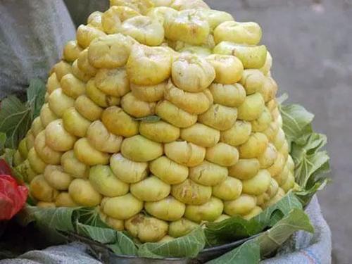 人人|建议大家:少吃瓜子花生,开春多吃这几样,精神十足,人人吃得起