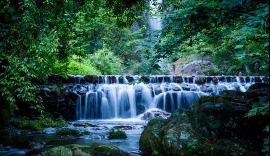 浙里办|不出省！乘着杭台高铁游天台美景，春节前凭高铁票半价