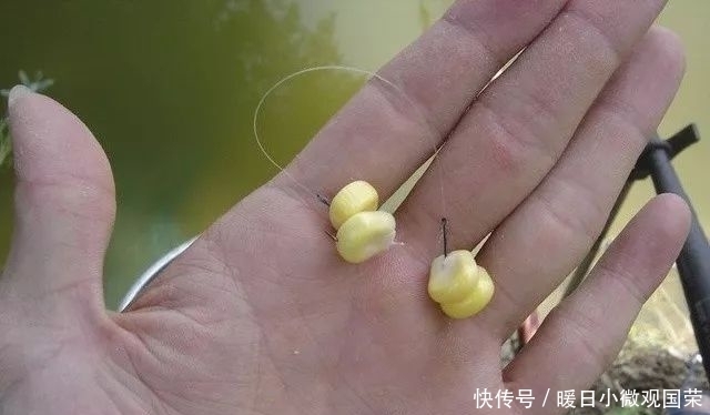 玉米粒钓大鱼,这些窍门你要懂!