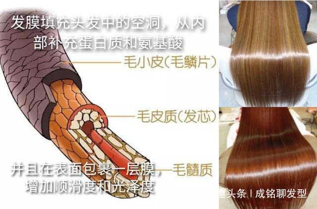 用法 护发素和发膜不是一回事,用错效果大打折扣,发型师教你正确护发