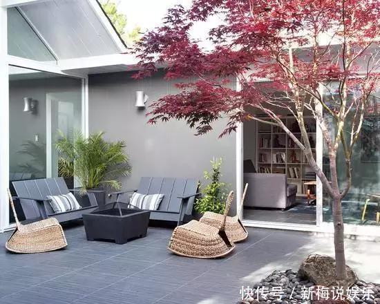 庭院种什么树好有些树真不能乱栽