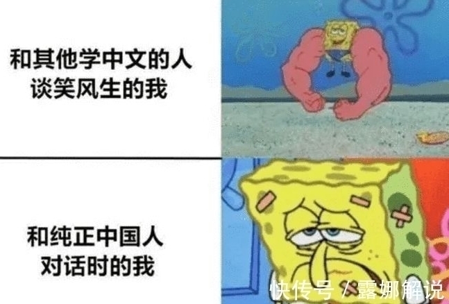梗图&外国人吐槽学中文难度大,几张梗图看出真相,网友看完笑出鹅叫