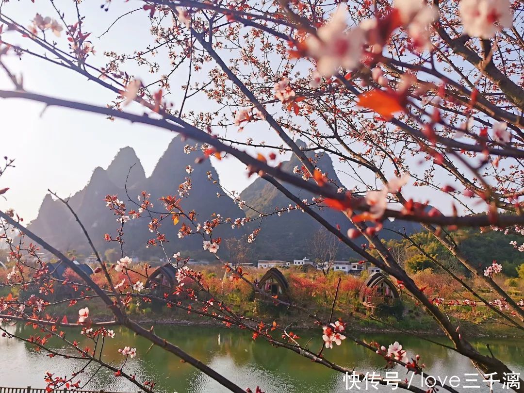 三千漓丨春风送暖百花开，正是赏景好时节