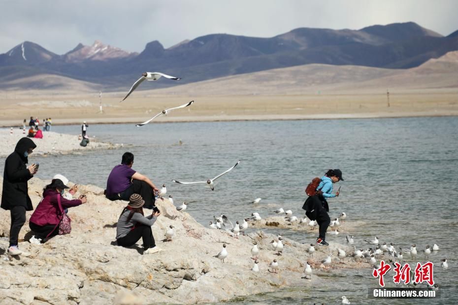 旅游|西藏纳木错迎来旅游旺季