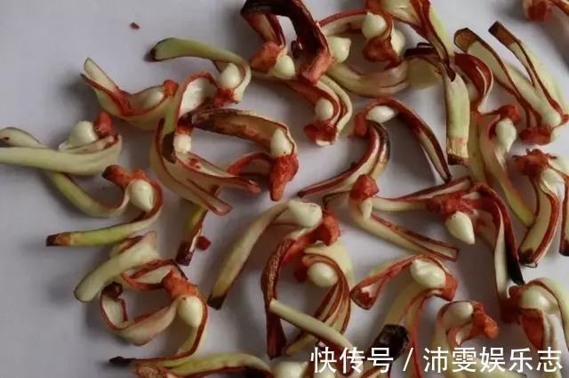 种球|朱顶红“烂了”是好事!切2刀养一个月,变成50株小苗