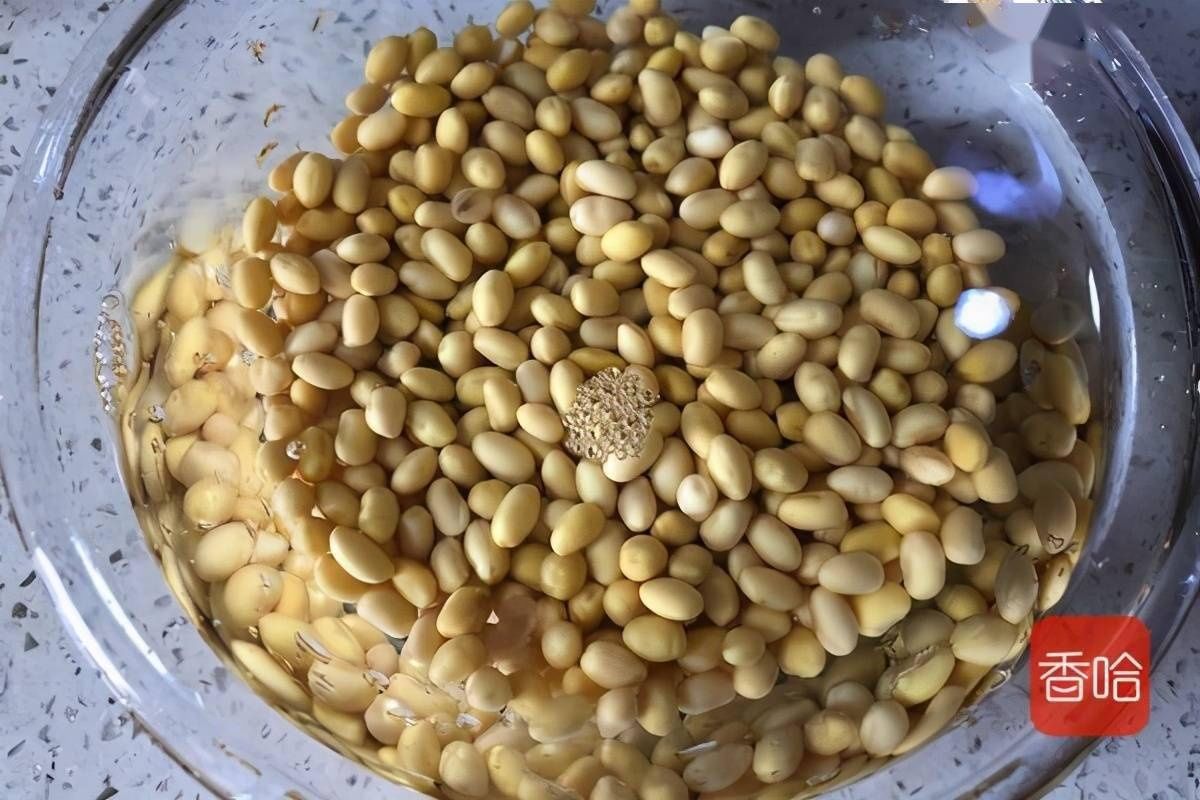 这菜卵磷脂是鸡蛋的6倍，益智健脑又开胃，连吃半个月都不腻