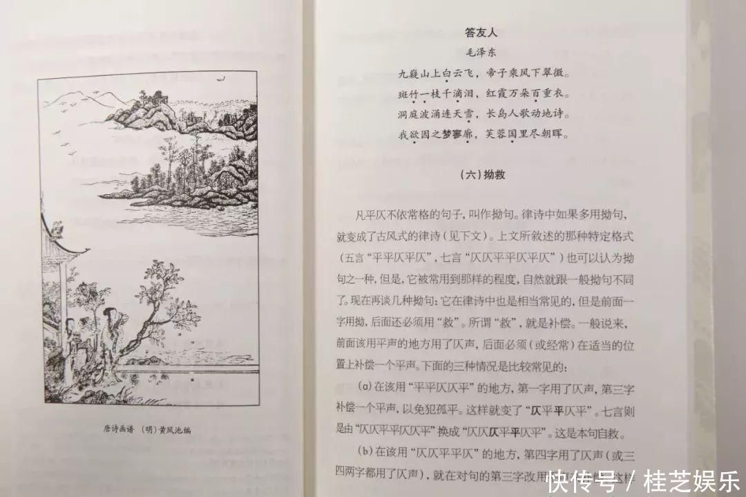 王力$中国现代语言学大师耗尽半生的扛鼎之作,打开传统文化大门这才是中国人的必读书