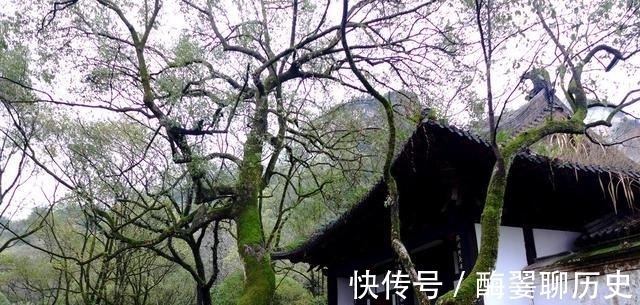 吴国!他是孔子弟子里最有钱的,孔子死后,他独自守丧六年