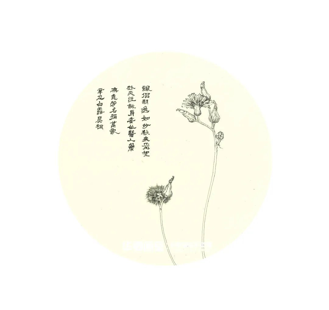 作品展#一眼沦陷这样绝美的秋色看完不得不爱!华卿国画定向班写生作品展