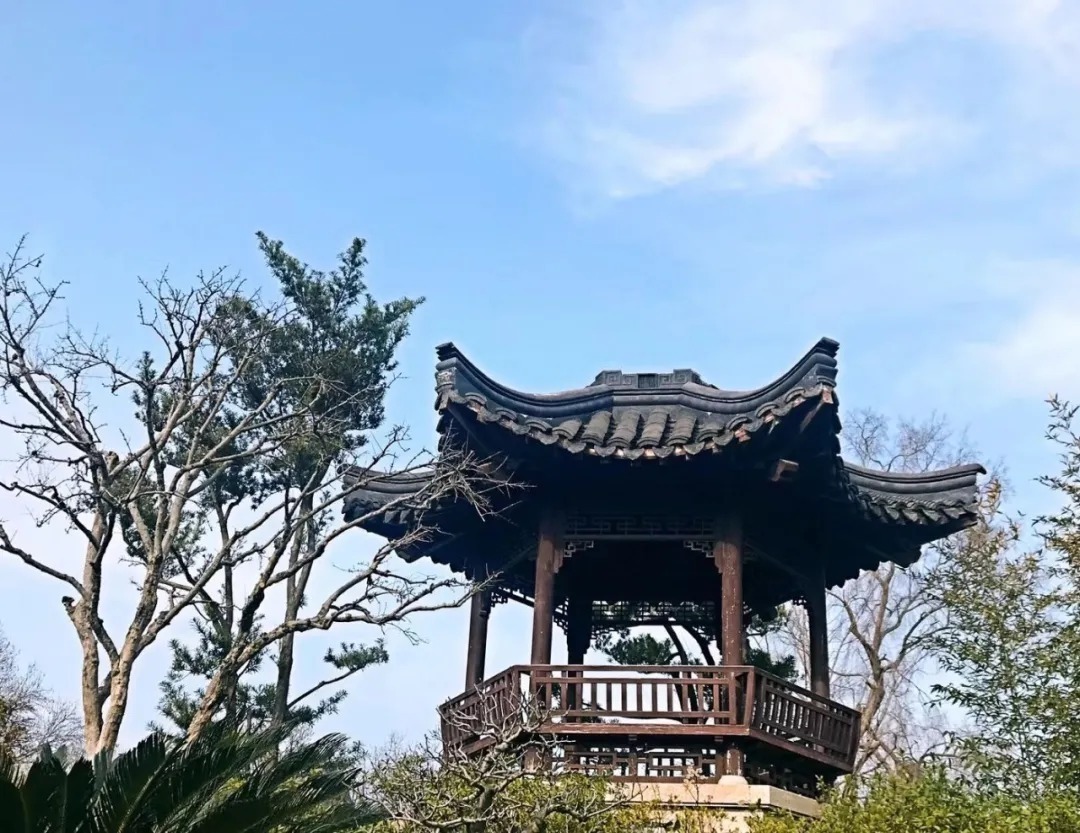 后代们&范仲淹、王阳明、曾国藩三大教子之道,教孩子成大器,道尽大智慧!