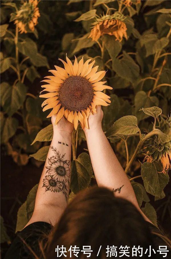 美术|如果没有美术,我们的生活会失去多少乐趣