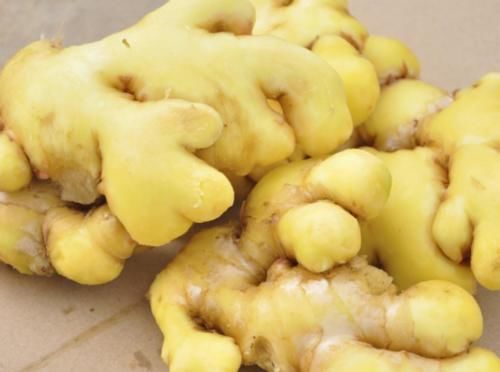 中年|晚上睡觉前，在脚底贴片生姜，身体会发生什么样的改变？