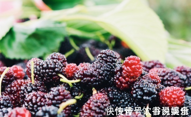 海鸭蛋|5种适合中老年人的零食,营养高好吸收,无聊时边吃边养身