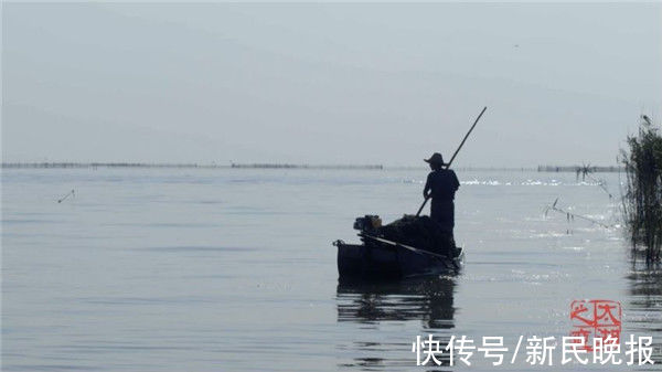 4K技术展太湖之美，生态人文纪录片《太湖之恋》即将开播