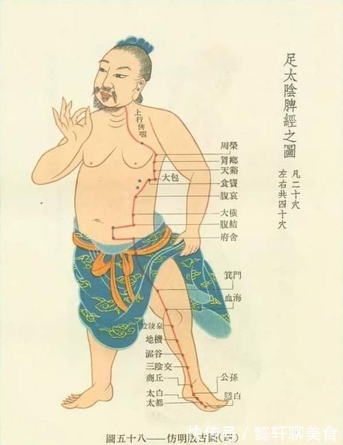 太白穴|脾,后天之本!老中医带你品味人体脾经大药!补脾通络,胜吃补药