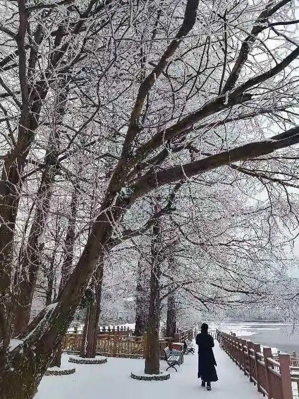 银装素裹|下雪了，银装素裹下的湖北绝美大片