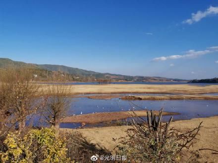 爱鸟护鸟|念湖如何成为鸟之乐园