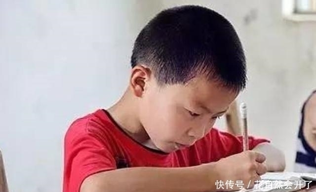 白清扬|白岩松:父母舍得让孩子吃这3种苦,孩子将来会更有出息