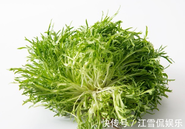 野菜|开春挖野菜,送你“野菜大图鉴”,教你轻松识别20种野菜