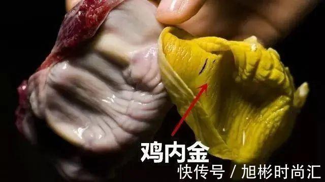 气血|经络堵则百病生!经络不通,试试这个方法,有寒去寒,祛湿化瘀!