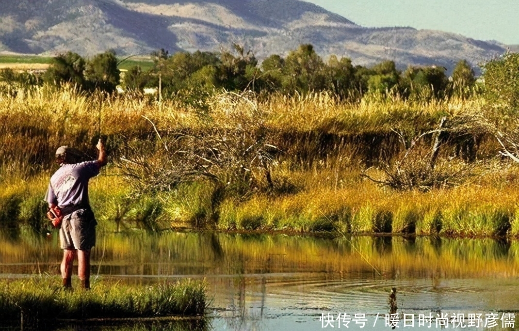 氧度|夏季野钓鲤鱼有绝招，想要爆护这些关键点你要知道!——盛世三渔
