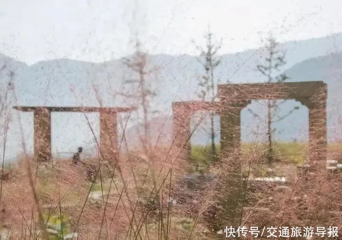 畲乡景宁：行在路上，别匆匆而过，这一路的风景，你留意过吗？