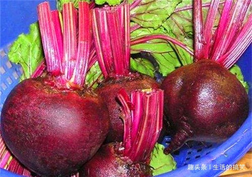 黄瓜|羡慕别人不生病,冬天4种食物要多吃,清热解毒,增强体质,养生