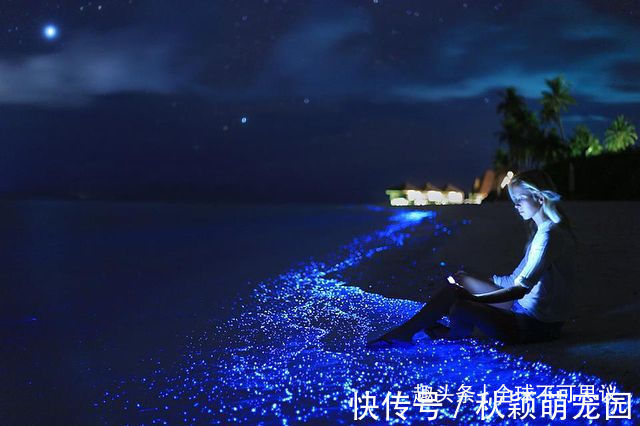 疯狂事|如果没有被相机捕捉到,我们永远不会相信存在的19件疯狂事情
