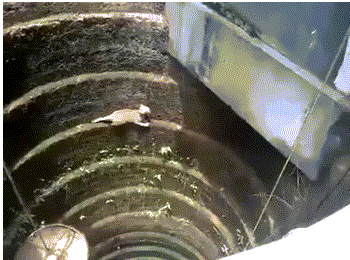 |幽默笑话:有一次上课,大家都在专心听讲,小王却很大声说话……