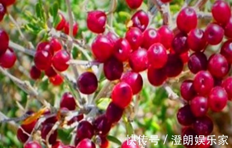 丑柑|人到中年想长寿，多吃的食物，养颜护肤、清理肠道，爱吃就赚了