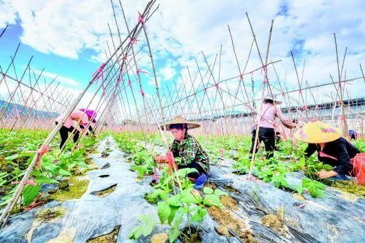 黔东南|印象黔东南(榕江)，自然美，生活之美