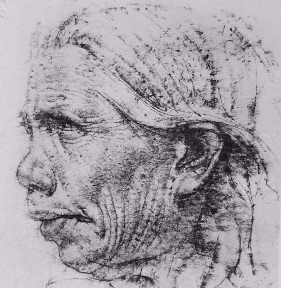 陶斯$如果没有一定的素描功底，是画不出这样经典作品的