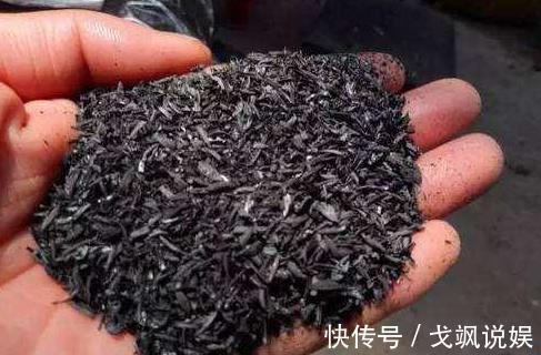 黄豆|用啥水浇花长得快、开花多、虫害少3个妙招,省时省钱又省力