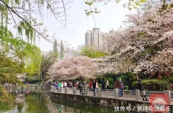 惊艳！郁金香花海、樱花雨，踏青赏花 来“这里”