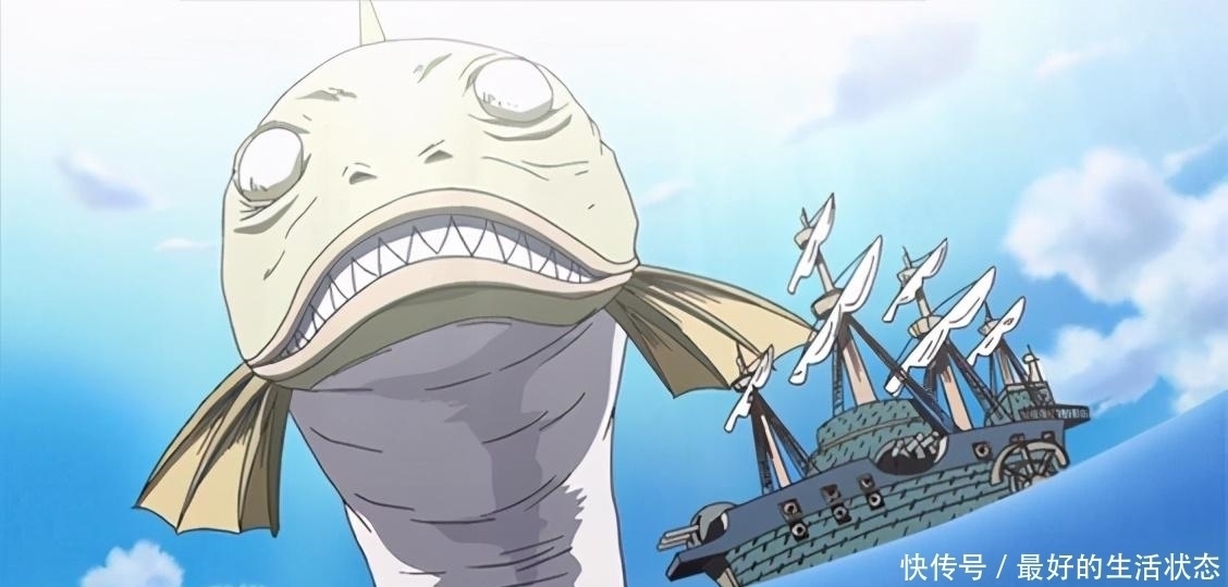佐烏|海賊王：讓人疑惑的5件事情，比如惡魔果實為什么只能吃一顆？