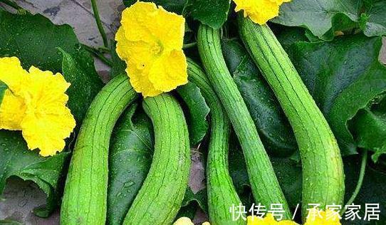 子宫肌瘤|以下4物是子宫肌瘤“大冤家”,女人多吃点,有助活血化瘀消肌瘤